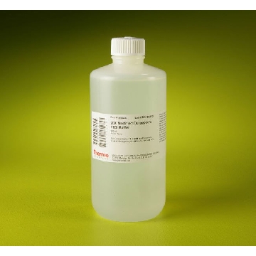 MODIFIED DULBECCO'S PBS BUFFER 20X, 0.5 L，28344，赛默飞世尔
