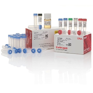 TOPO TA/ DUAL/TOP10F' (50) 50 RXN，K465040，Invitrogen