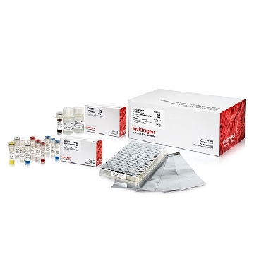 COLLIBRI 3'RNA KIT 24 24 REACT，A38110024，赛默飞世尔