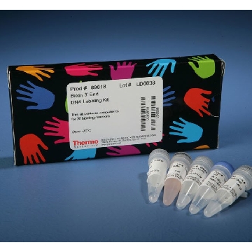 BIOTIN 3' END DNA LABELING KIT EA，89818，赛默飞世尔