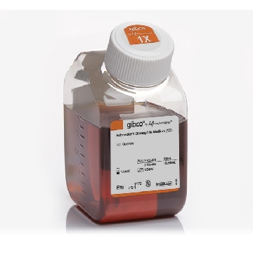SCHNEIDER'S DROSOPHILA MEDIUM 500ML，21720024，Invitrogen