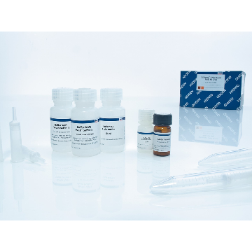 QIAamp DNA Blood Mini Kit (50)，51104，Qiagen，凯杰