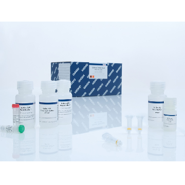 QIAamp RNA Blood Mini Kit (50)，52304，Qiagen，凯杰