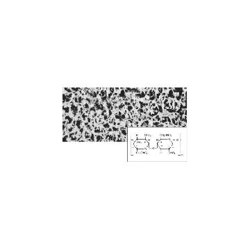 NITROCELLULOSE, 8.0Âµ, 80mm, 100Pk，11301--80----ALN，赛多利斯
