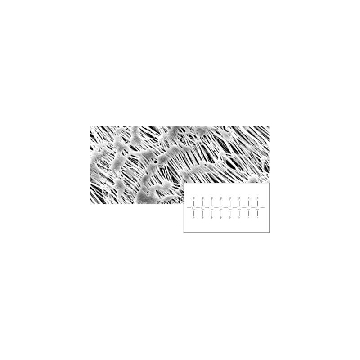 PTFEMembran;0,45µm;47mm;100pc，11806--47------N，赛多利斯
