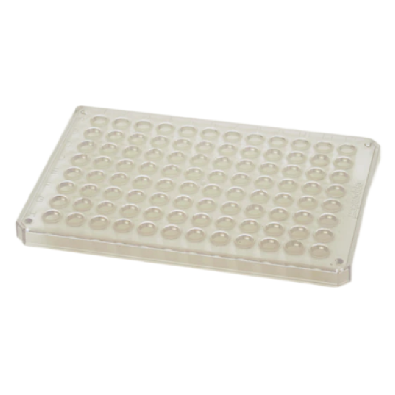 twin.tec 96孔PCR板, 半裙边(孔无色), 透明, 300块，0030128869，Eppendorf，艾本德