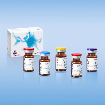 MACS GMP CD8-APC，170-076-507，美天旎