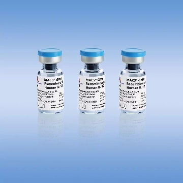 MACS GMP Recombinant Human IL-12，170-076-174，美天旎