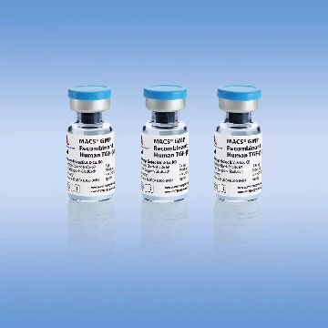 MACS GMP Recombinant Human TGF-b1 5 µg，170-076-166，美天旎