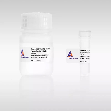 StemMACS™ mRNA Transfection Kit，130-132-978，美天旎