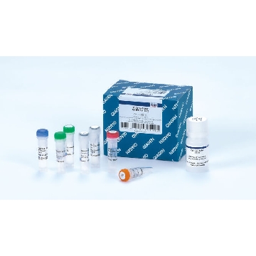 QIAprep&amp CRISPR Kit (1000)，232102，Qiagen，凯杰