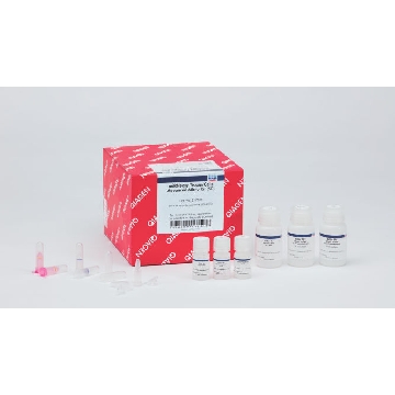 miRNeasy Tissue/Cells Advanced Micro Kit，217684，Qiagen，凯杰