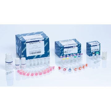 EpiTect Hi-C，59971，Qiagen，凯杰