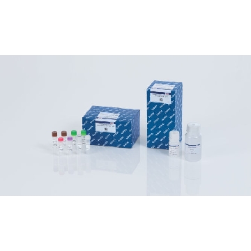 QIAseq SARS CoV-2  Primer Panel (96)，333896，Qiagen，凯杰
