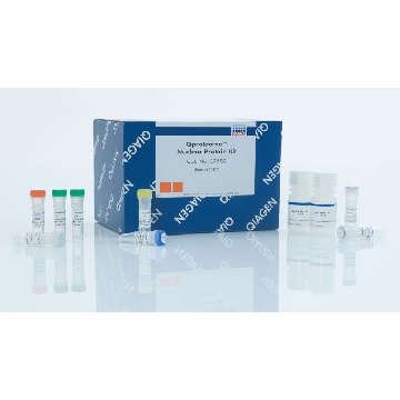 Qproteome Nuclear Protein Kit，37582，Qiagen，凯杰