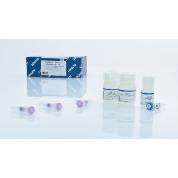 MinElute Reaction Cleanup Kit (250)，28206，Qiagen，凯杰