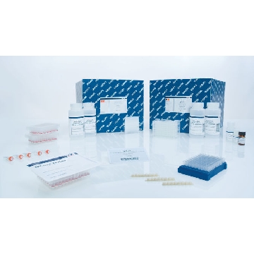 QIAamp DNA Blood BioRobot MDx Kit (12)，965152，Qiagen，凯杰