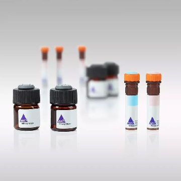 TCR Vβ11 Antibody, anti-human, PE-Vio® 770, REAfinity™，130-126-319，美天旎