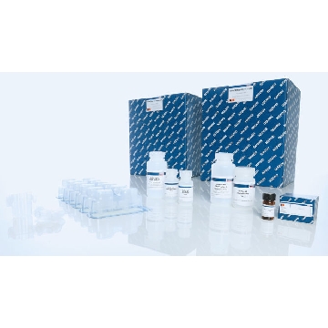 QIAamp DNA Mini QIAcube Kit (240)，51326，Qiagen，凯杰