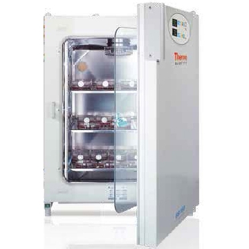 CO2细胞培养箱，BB150-2TCS-GP，湿热灭菌，Thermofisher，赛默飞世尔