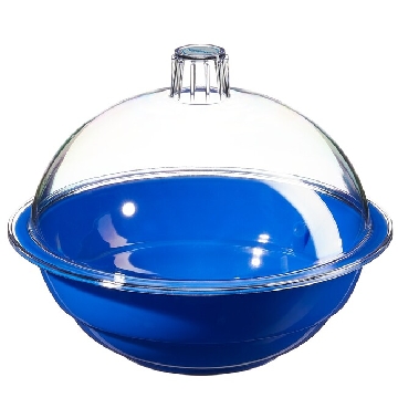 干燥器，250mm聚碳酸酯盖，蓝色聚丙烯主体，无活塞，4/箱，5309-0250，Nalgene，Thermofisher，赛默飞世尔