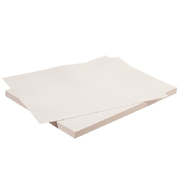 PolyPaper塑料纸张，无涂层，300/箱，6304-9811，Nalgene，Thermofisher，赛默飞世尔