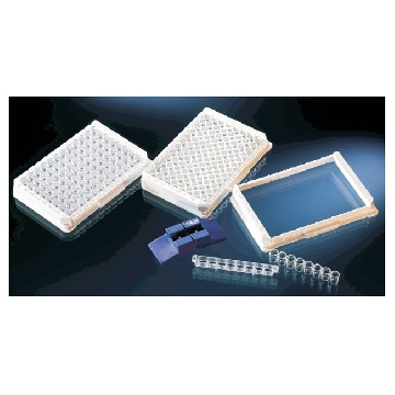Nunc-ImmunoTMLockWellTM板条，带框，每框96孔聚苯乙烯，外部尺寸：128*86mm,规格，C8星孔型*12,表面PolySorp，60/箱，448496，Thermofisher，赛默飞世尔