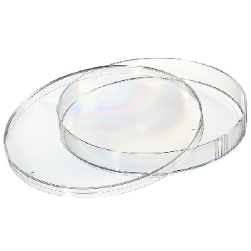 140mm培养皿，3个透气环，80/箱，501V，Sterilin，Thermofisher，赛默飞世尔