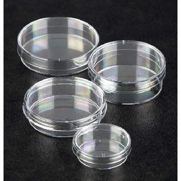 30mm培养皿，3个透气环，800/箱，121V，Sterilin，Thermofisher，赛默飞世尔