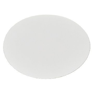 滤膜过滤器，醋酸纤维素（CA），孔径0.45um，100/箱，DS0210-4045，Nalgene，Thermofisher，赛默飞世尔