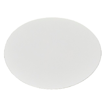 滤膜过滤器，白色尼龙，孔径0.2um，100/箱，DS0215-4020，Nalgene，Thermofisher，赛默飞世尔