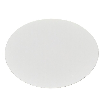 滤膜过滤器，白色尼龙，孔径0.45um，100/箱，DS0215-4045，Nalgene，Thermofisher，赛默飞世尔