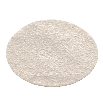 预过滤器，玻璃纤维；过滤器直径50mm，100/箱，DS0281-5000，Nalgene，Thermofisher，赛默飞世尔