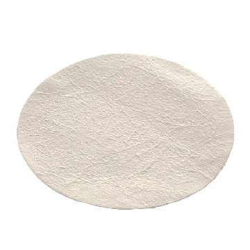 预过滤器，玻璃纤维；过滤器直径70mm，100/箱，DS0281-7500，Nalgene，Thermofisher，赛默飞世尔