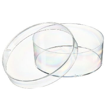 50mm培养皿，深孔，50MM PETRI DISH DEEP FORM，124-17，Thermofisher，赛默飞世尔
