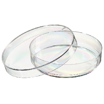 60mm培养皿，一个透气环，60MM PETRI DISH 1 VENT，123-17，Thermofisher，赛默飞世尔