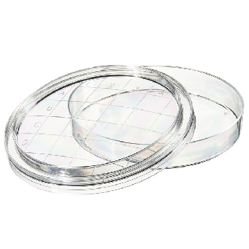 55mm接触盘，55MM CONTACT PLATE，504-17，Thermofisher，赛默飞世尔