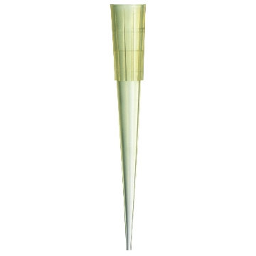 Labtip 1000ul蓝吸头（盒装），30x60/箱，Thermofisher，赛默飞世尔