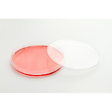 150mm培养皿，NunclonTM△，带盖，透气,80/箱,150468,Nunc ,Thermofisher,赛默飞世尔