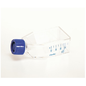 EasyFlasksTMNunclonTM△易用培养瓶，聚苯乙烯，已灭菌，培养面积25cm2,瓶盖，透气/密封