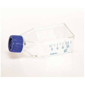 EasyFlasksTMNunclonTM△易用培养瓶，聚苯乙烯，已灭菌，培养面积25cm2,瓶盖，过滤