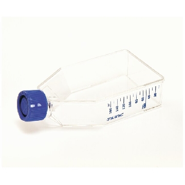 EasyFlasksTMNunclonTM△易用培养瓶，聚苯乙烯，已灭菌，培养面积75cm2,瓶盖，透气/密封
