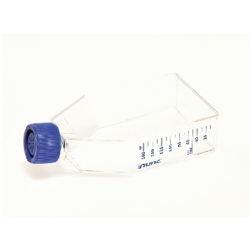 EasyFlasksTMNunclonTM△易用培养瓶，聚苯乙烯，已灭菌，培养面积75cm2,瓶盖，过滤