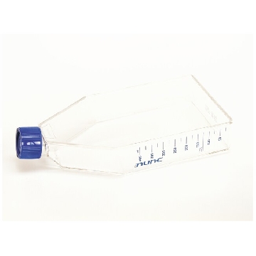 EasyFlasksTMNunclonTM△易用培养瓶，聚苯乙烯，已灭菌，培养面积175cm2,瓶盖，透气/密封