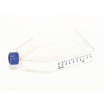 EasyFlasksTMNunclonTM△易用培养瓶，聚苯乙烯，已灭菌，培养面积225cm2,瓶盖，过滤
