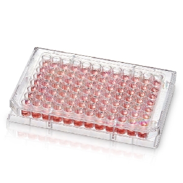 紫外可透微孔板，平底,40/箱,8404,Thermo,Thermofisher,赛默飞世尔