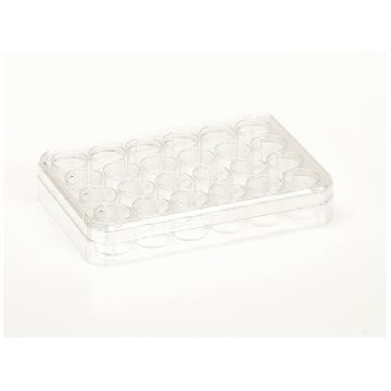 Nunc多孔细胞培养板，聚苯乙烯，带盖，已灭菌，孔数，24，建议工作容量，1ml/孔，每包/箱数，1/75
