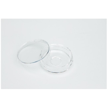 Nunc玻底培养皿，12mm，Nunc glass Based Dish, 12mm，150680，Nunc
