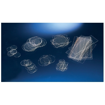 ThermanoxTM盖玻片，已灭菌，外部尺寸，10.5*22（rect.)，10.5X22MM THERM COVERSLIP/5408，174934，Nunc