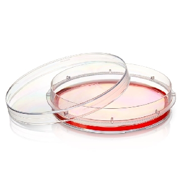 60mm*15mm；带盖；透气；无菌，UpCell表面，UpCell 60mm TC Dish w/Grid - NEW!，174906，Nunc